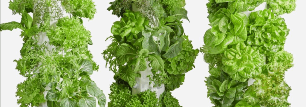 Future Farming Retail - From Producer to Consumer